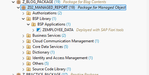 Newly created BSP Application object in package