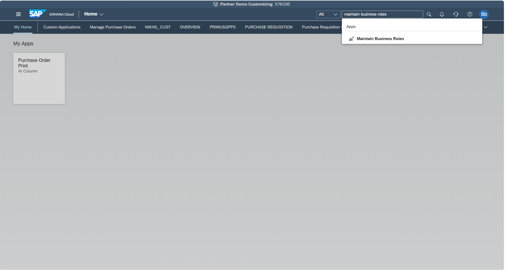 Maintain Business Roles app in Launchpad