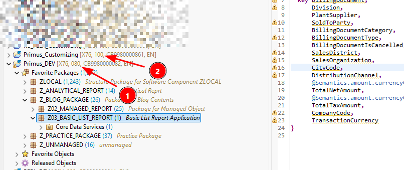 Package Details