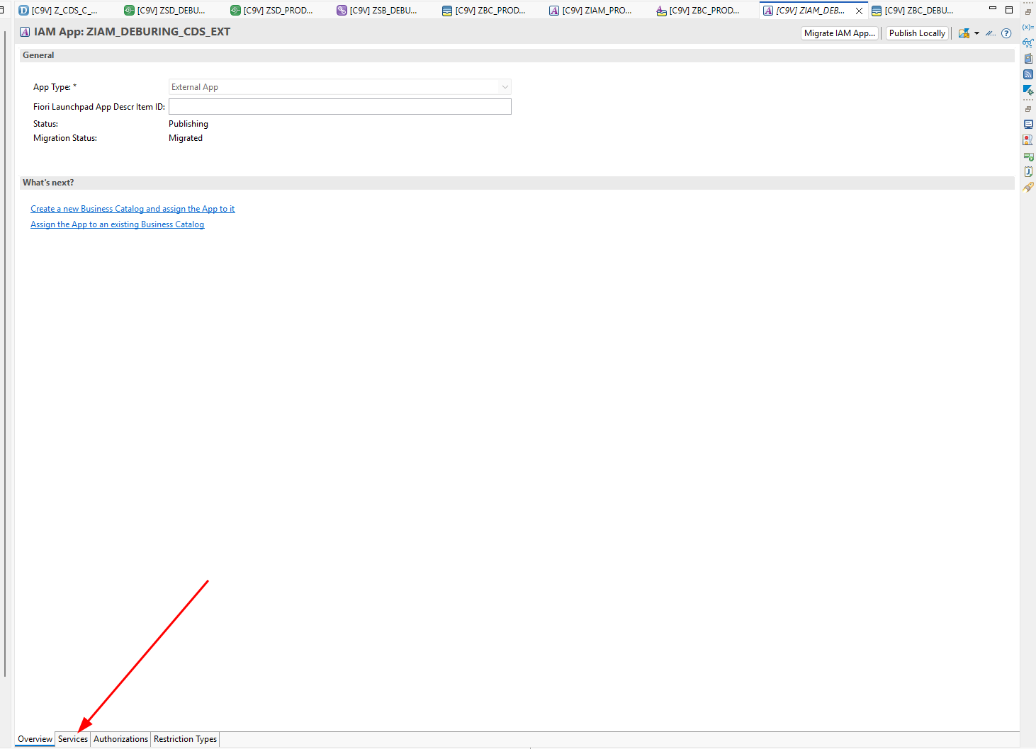 Services tab in the IAM App editor